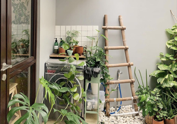Tips Manfaatkan Lahan Kosong di Teras Rumah, Jadikan Taman Saja!