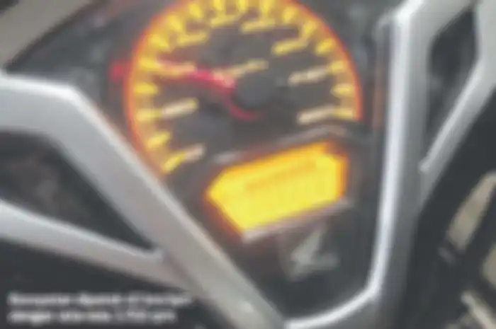spido meter vario