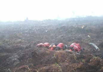 Viral di Twitter, Foto Petugas Pemadam Kebakaran Sujud Syukur di Bawah Guyuran Hujan 