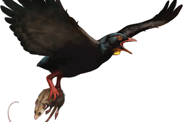 Burung Purba Seukuran Elang Ini Pernah Bikin Dinosaurus 'Ketakutan', Mengapa?