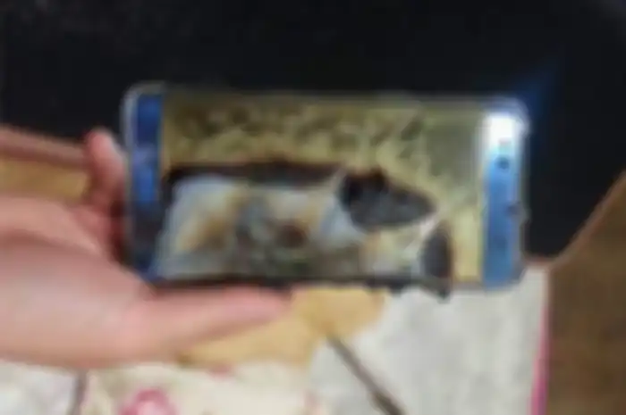 Kasus meledaknya Galaxy Note 7 secara massal pada tahun 2016.