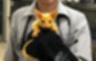 Oh, Ternyata Inilah Hewan yang Menginspirasi Pembuatan Karakter Pikachu 