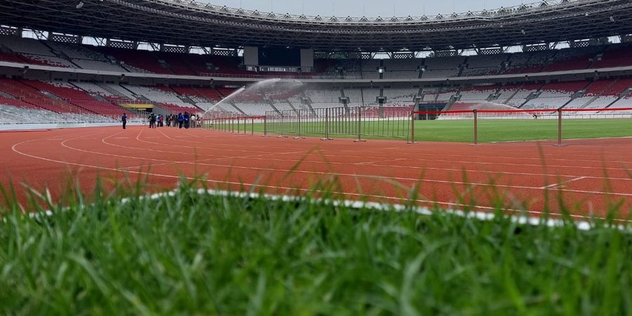 Pastikan Kondisi Rumput SUGBK Bagus, Timnas Indonesia Siap Jamu Jepang