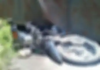 Apes Banget, Bukan Tertiban Durian Runtuh, Motor Tua Ini Malah Tertiban Tamu Tidak Diundang