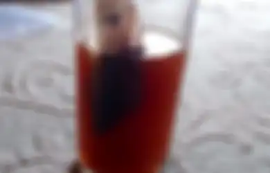 Mahasiswa KKN UNY Bikin Kopi Herbal dari Biji Pepaya, Diklaim Bebas Kafein