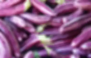Selama Ini Salah Kaprah, Ternyata Masak Terong Dengan Cara Ini Tidak Dianjurkan, Hentikan Sekarang Jika Tak Ingin Menyesal