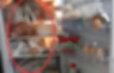 Hentikan Sekarang Juga! Menyimpan Makanan Beserta Plastiknya ke Dalam Kulkas Ternyata Berbaya dan Bisa Mengancam Kesehatan, Ganti dengan Cara Ini