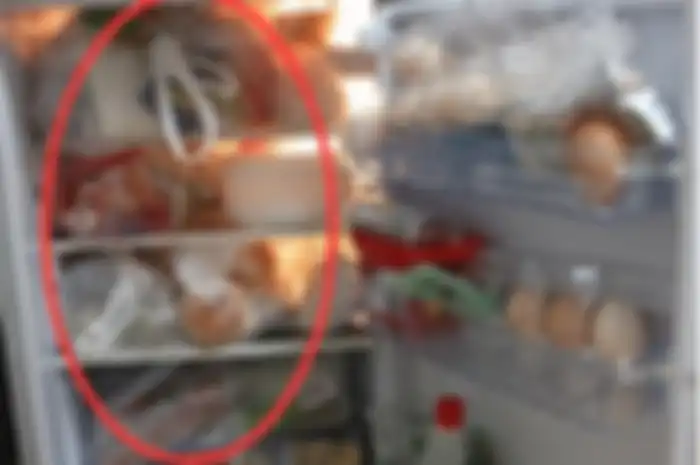 Menyimpann makanan dengan plastik di kulkas.