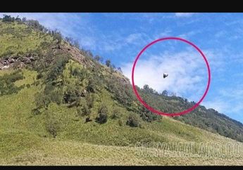 Heboh Penampakan Ufo di Atas Bukit Teletubbies Probolinggo, Ternyata Aslinya Cuma Benda Ini, Apa Tuh?