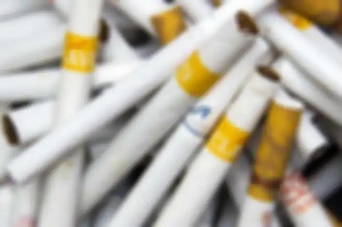 Seperti yang diketahui rokok konvesional dibedakan menjadi dua jenis yaitu rokok filter dan rokok kretek.
