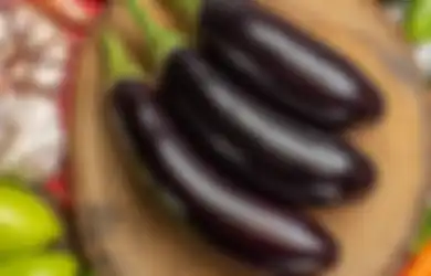 Aneka Tips Kesehatan, Mulai Sekarang Mending Rutin Makan Terong, Diam-diam Simpan Khasiat Luar Biasa