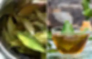 Minum Air Rebusan Bumbu Dapur ini Sebelum Tidur, Jangan Kaget Kalau Hasilnya Penyakit Mengerikan ini Pergi dari Tubuh