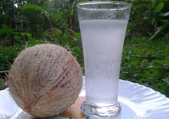 Bolehkah Minum Air Kelapa Setiap Hari? Ini Kata Ahli Gizi IPB