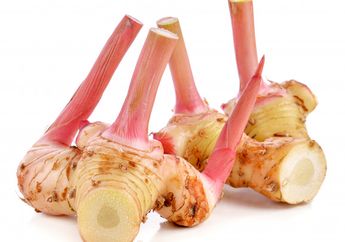 Nyesel Baru Tahu Sekarang! Ternyata Cukup Masukkan Lengkuas ke dalam Freezer, Maka Kamu Akan Takjub dengan Hasi Luar Biasa Ini