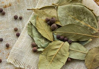 Tidak Hanya untuk Beri Aroma pada Masakan, Daun Ini Juga untuk Obat Batuk