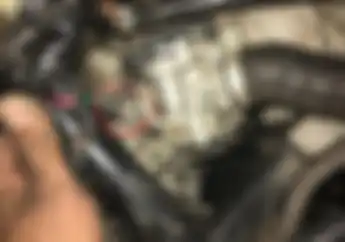 Gondok Kabel Motor Digigit Tikus Ini Cara Mudah Cegah Biar Aman Bisa Dicoba Nih