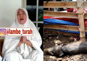 Sempat Tuduh Tetangganya Pakai Babi Ngepet, Ibu Viral di Depok Sampaikan Permohonan Maaf, Netizen: Makanya Kalau Punya Mulut Rem Bu