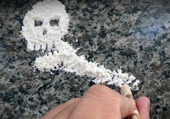 Apes, Hanya Gara-gara Hewan yang Sering Bikin Onar Ini, Geng Narkoba Jadi Sial dan Rugi Hingga Rp300 Juta!