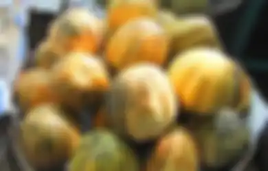 Jangan Panik Maag Kambuh Saat Puasa, Santap Blewah Saat Berbuka Agar Lambung Nyaman dan Dapatkan Berbagai Manfaat Ini