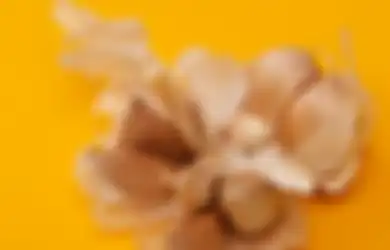 Luar Biasa! Selain Mencegah Kanker Payudara, Bumbu Dapur Ini Ternyata Juga Ampuh Sembuhkan Sederet Penyakit Kronis Ini