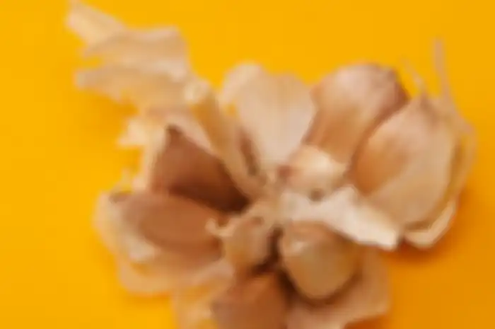 Bawang putih 