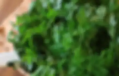 Kerap Dipandang Sebelah Mata, Siapa Sangka Tumbuhan Liar ini Jika Diolah Ampuh Atasi Darah Tinggi, Jadi Hemat Biaya ke Dokter!