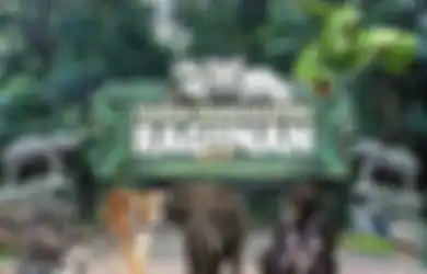 Cari Udara Segar Yuk, Ini 5 Taman di Jakarta untuk yang Mau Refreshing Saat New Normal
