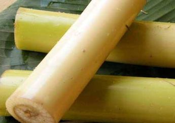 Pedagang Ini Disebut Gila karena Jual Keripik Batang Pohon Pisang Padahal Punya Segudang Manfaat, Ternyata Omzetnya Puluhan Juta Perbulan