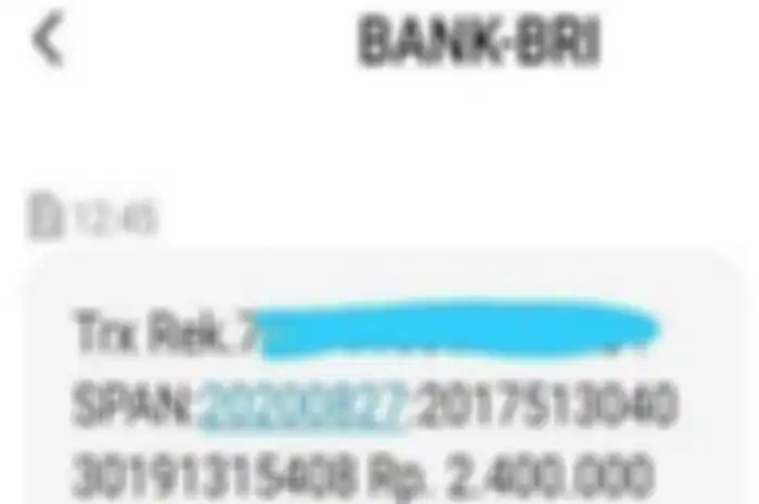 Bikers Cuma Ketik Nomor KTP Buat Cek Bantuan Pemerintah Rp 2,4 Juta