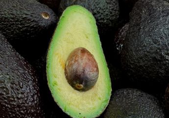 Arti Mimpi Buah Alpukat Ternyata Sungguh di Luar Dugaan, Siap-siap Ketiban Harta Kekayaan yang Tak Habis Sampai 7 Turunan