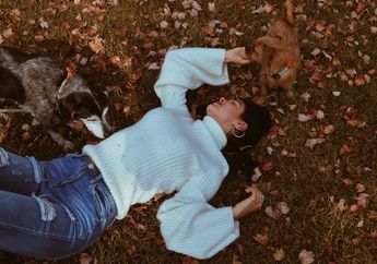 5 Arti Mimpi Jatuh dari Pohon, Jangan Dianggap Remeh, Tanda Kegagalan hingga Hilang Kendali, Begini Ulasannya!