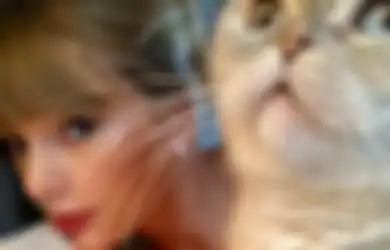 5 Fakta Menarik Kucing Taylor Swift yang Jadi Hewan Terkaya di Dunia