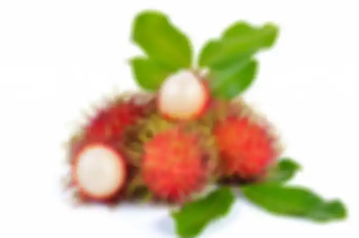 manfaat minum air rebusan daun rambutan