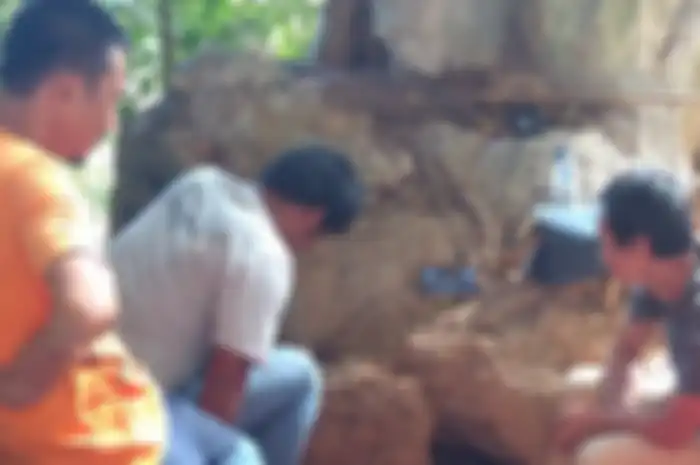 Nonton lewat HP di goa pra sejarah