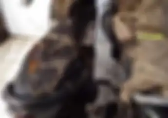 Warga Ketakutan, Teror Kain Api Makin Brutal di Semarang, Begini Reaksi Gubernur Jateng