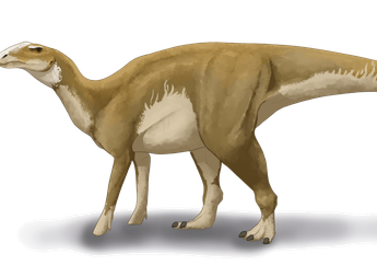 Tak Hanya Mampir, Dinosaurus Menetap dan Mengerami Telurnya di Arktika