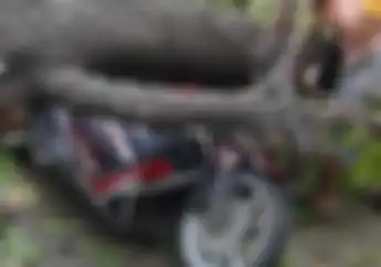  Warga Cilegon Histeris, Motor Yamaha NMAX Luka Parah, Pemotor Patah Tangan Tertimpa Pohon Tumbang