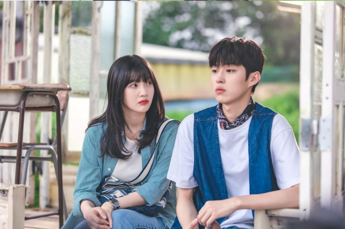 drama Korea Accidental Country Diary
