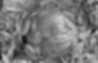 'Monster' Katak Raksasa Ini Terkenal sebagai Pembunuh Anjing, Pemilik Rumah Ketakutan hingga Menjaga Hewan Peliharaan di Dalam Rumah