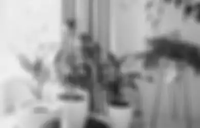 Rumah Penuh Polutan Ini Gejalanya! Pakai Tanaman untuk Menyerap Zat Berbahaya Ini