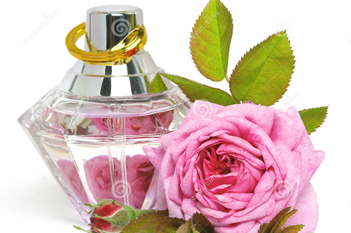 Ilustrasi parfum
