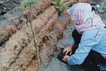 Para peneliti ITB bekerja sama dengan penduduk desa Karangjaladri untuk membangun tanggul laut ramah lingkungan terbuat dari sabut kelapa. 