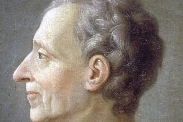 Trias Politica: Apa Alasan Montesquieu Cetuskan Konsep Pembagian Kekuasaan?