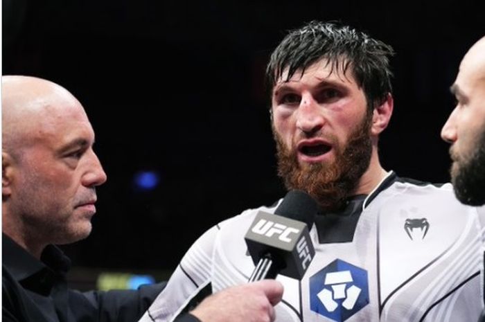 Magomed Ankalev ikut mendesak Jon Jones