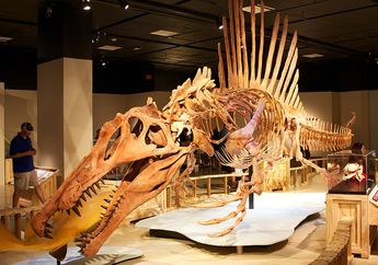 Termasuk yang Paling Ganas, Singkap 10 Dinosaurus Terpenting di Afrika