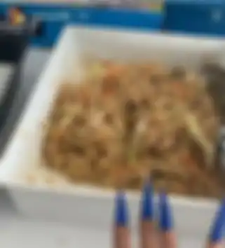 Bihun goreng Cardi B
