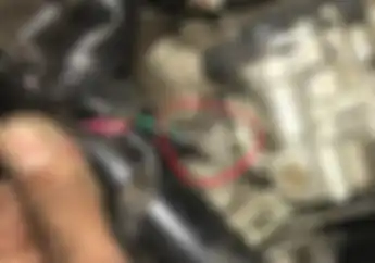 Begini Caranya Biar Tikus Enggak Makan Kabel Motor, Perhatikan Tempat Parkirnya Bor
