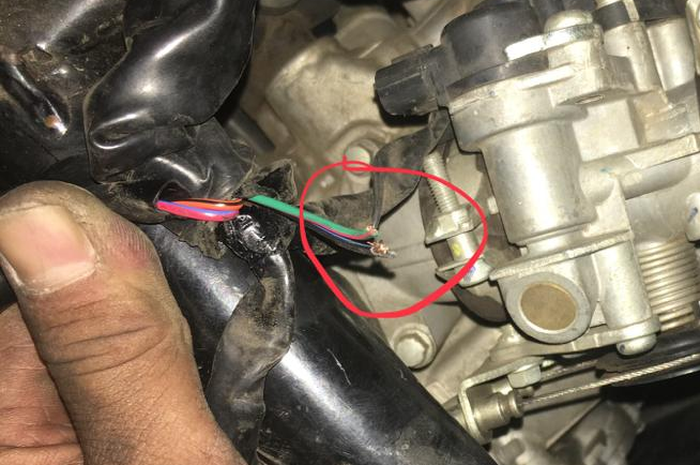 Banyak kabel yang kena gigitan tikus