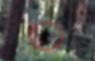 Bikin Satu Kampung Panik, Manusia Serigala Konon Muncul dan Membunuh Penduduk Kampung, Saksi Mata Ungkap Fakta Mencengangkan Ini,  'Anjing-Anjing Itu Mencabik-Cabik Anak Saya'