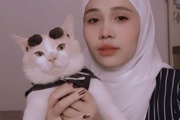 Sempat Hilang dan Jadi Trending di Media Sosial, Siapa Kucing Pororo?